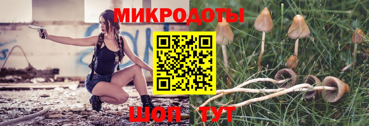 Псилоцибиновые грибы ЛСД Холмск