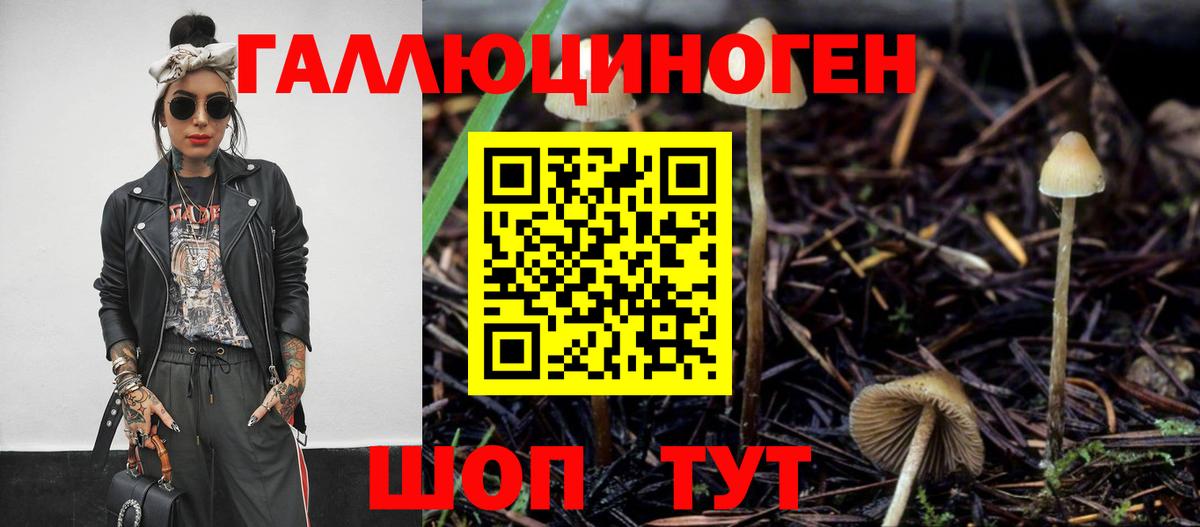 Псилоцибиновые грибы Psilocybine cubensis  Вход с VPN  Холмск 